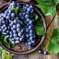 Разрушаем мифы о винограде