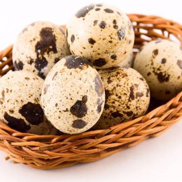 Перепелиные яйца - природные «ампулы» здоровья