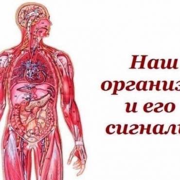 Наш организм и его сигналы