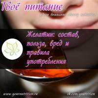 Желатин: состав, польза, вред и правила употребления