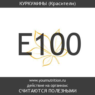 E100 Куркумины