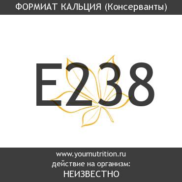 E238 Формиат кальция