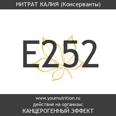 E252 Нитрат калия