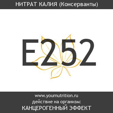 E252 Нитрат калия E252 Нитрат калия