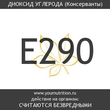 E290 Диоксид углерода E290 Диоксид углерода