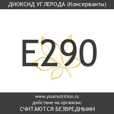 E290 Диоксид углерода