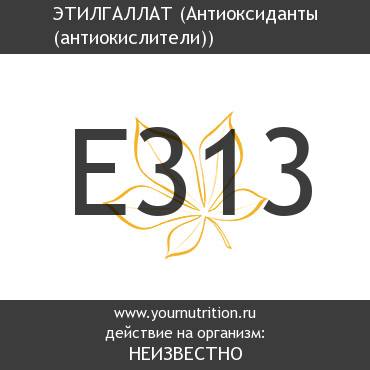 E313 Этилгаллат