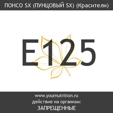 E125 Понсо SX (пунцовый SX) E125 Понсо SX (пунцовый SX)