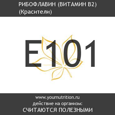 E101 Рибофлавин (Витамин B2)