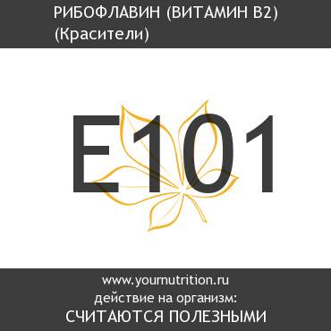 E101 Рибофлавин (Витамин B2) E101 Рибофлавин (Витамин B2)