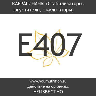 E407 Каррагинаны