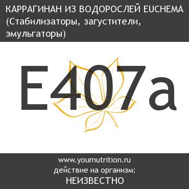 E407a Каррагинан из водорослей Euchema