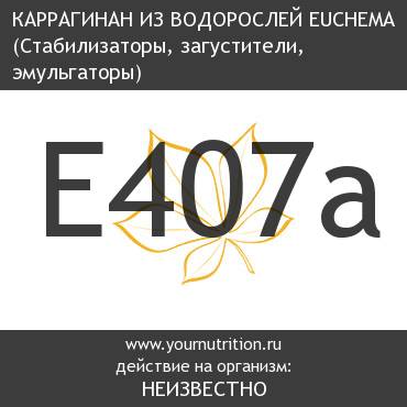 E407a Каррагинан из водорослей Euchema E407a Каррагинан из водорослей Euchema