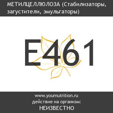 E461 Метилцеллюлоза