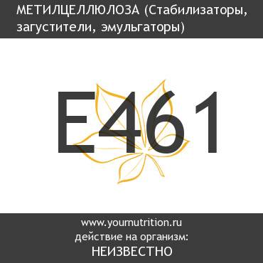 E461 Метилцеллюлоза E461 Метилцеллюлоза