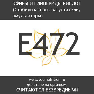 E472 Эфиры и глицериды кислот