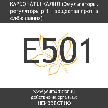 E501 Карбонаты калия