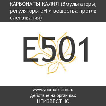 E501 Карбонаты калия E501 Карбонаты калия