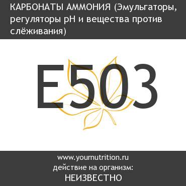 E503 Карбонаты аммония