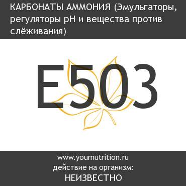 E503 Карбонаты аммония E503 Карбонаты аммония