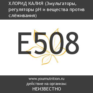 E508 Хлорид калия