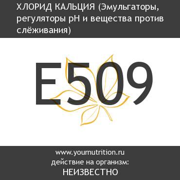 E509 Хлорид кальция