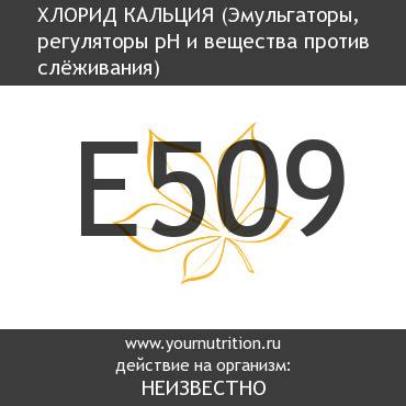 E509 Хлорид кальция E509 Хлорид кальция