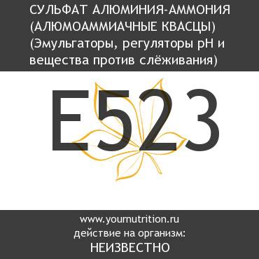 E523 Сульфат алюминия-аммония (алюмоаммиачные квасцы) E523 Сульфат алюминия-аммония (алюмоаммиачные квасцы)