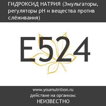E524 Гидроксид натрия