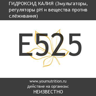 E525 Гидроксид калия E525 Гидроксид калия
