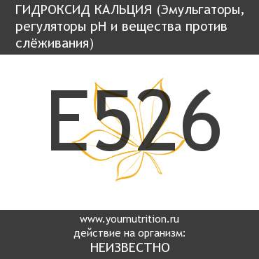 E526 Гидроксид кальция