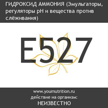E527 Гидроксид аммония