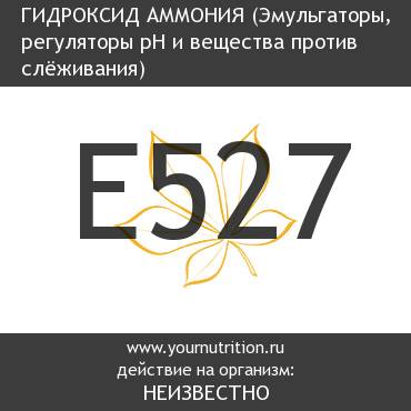 E527 Гидроксид аммония E527 Гидроксид аммония