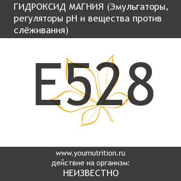 E528 Гидроксид магния E528 Гидроксид магния