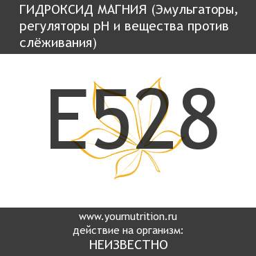 E528 Гидроксид магния