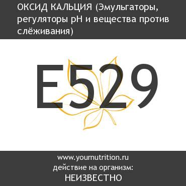 E529 Оксид кальция