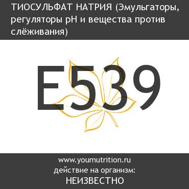 E539 Тиосульфат натрия E539 Тиосульфат натрия
