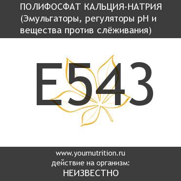 E543 Полифосфат кальция-натрия E543 Полифосфат кальция-натрия