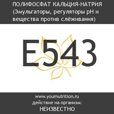 E543 Полифосфат кальция-натрия