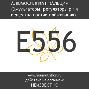 E556 Алюмосиликат кальция E556 Алюмосиликат кальция
