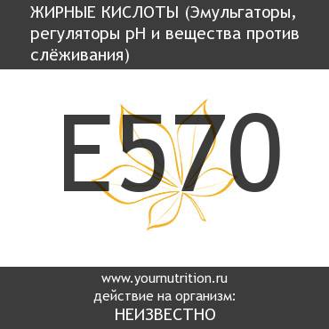 E570 Жирные кислоты