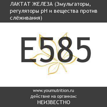 E585 Лактат железа