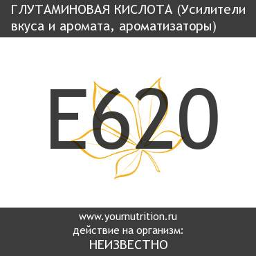 E620 Глутаминовая кислота