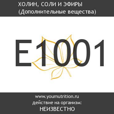E1001 Холин, соли и эфиры