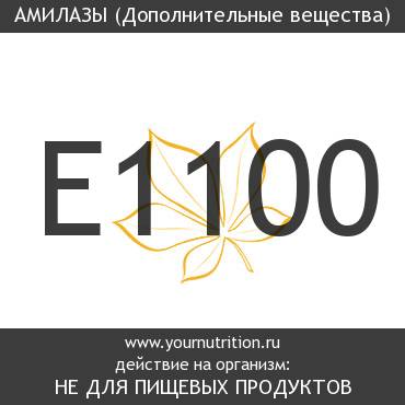 E1100 Амилазы E1100 Амилазы