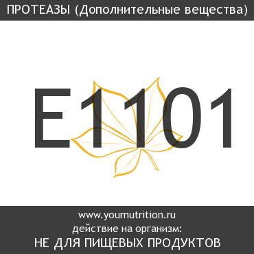 E1101 Протеазы
