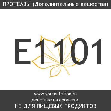 E1101 Протеазы E1101 Протеазы