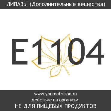 E1104 Липазы E1104 Липазы