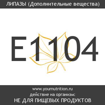 E1104 Липазы