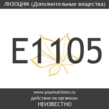E1105 Лизоцим